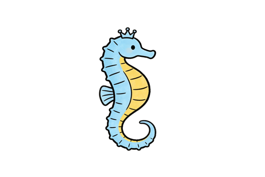 Seahorse tracing base (lower opacity)