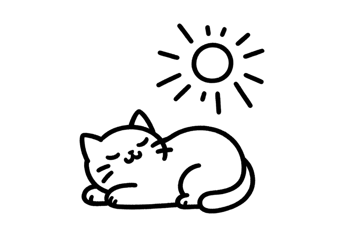 Cat in sunbeam tracing base (lower opacity)