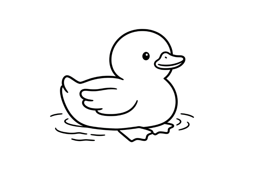 Duck