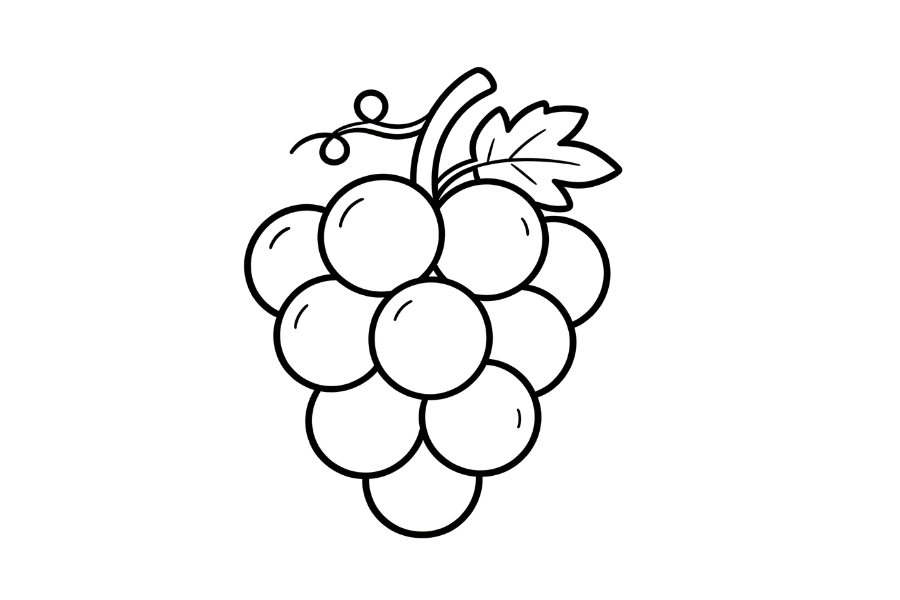 Grape