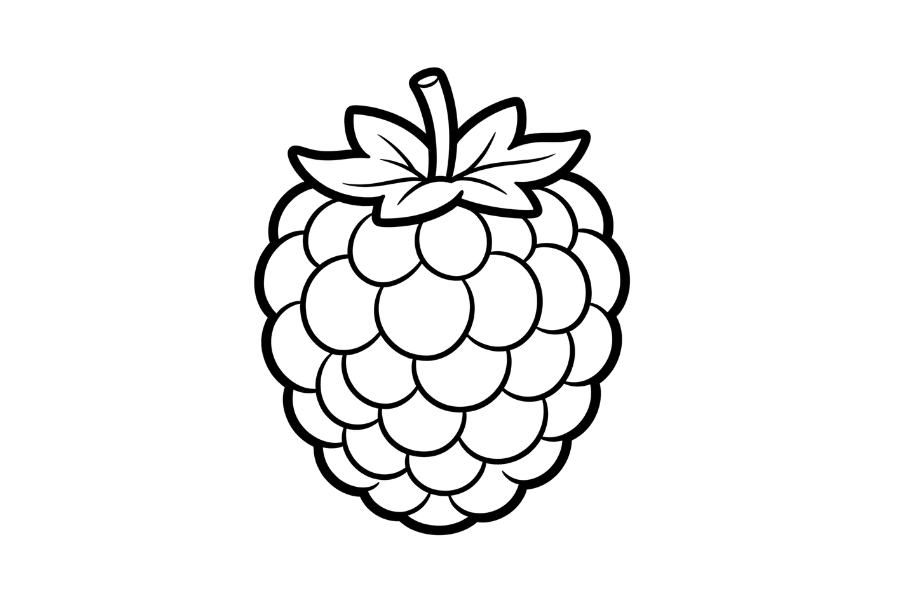 Raspberry