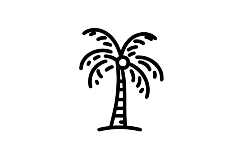 🌴 Palm Tree Drawing Template