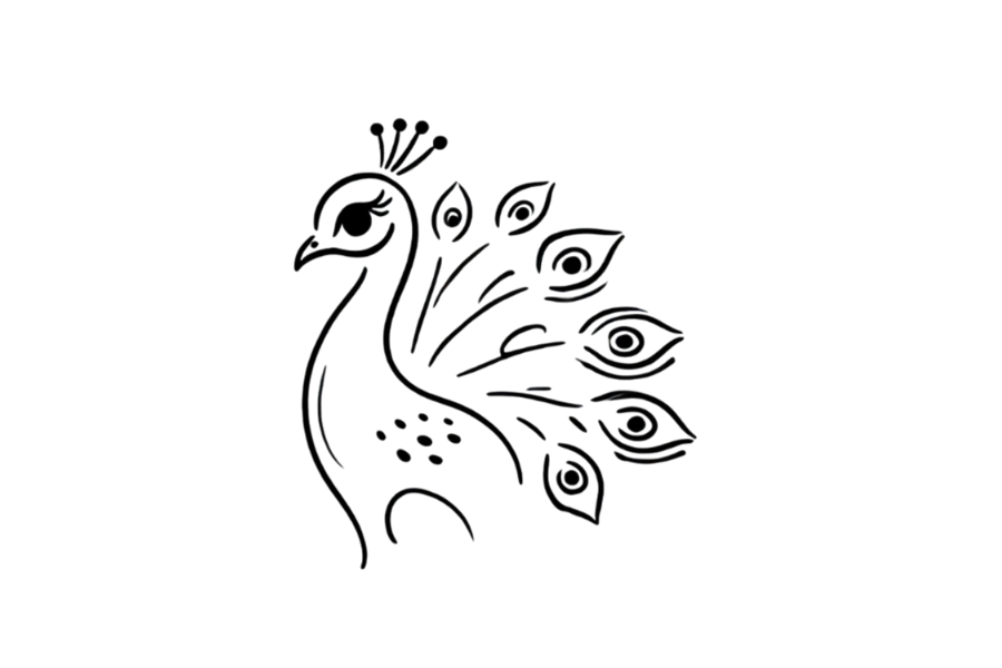 🦚 Peacock Drawing Template