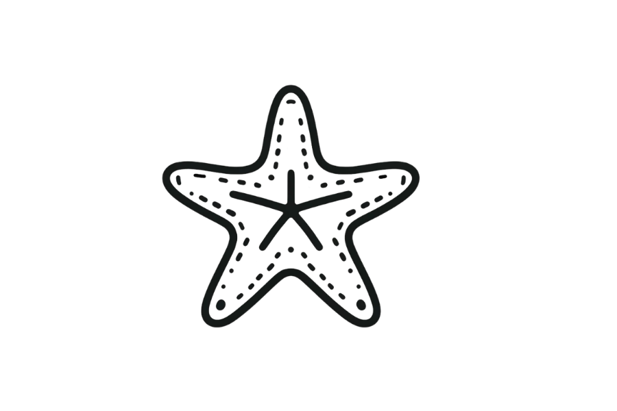 ⭐ Starfish Drawing Template