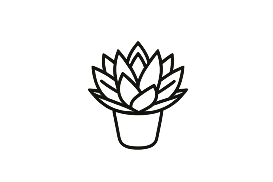 🪴 Succulent Drawing Template