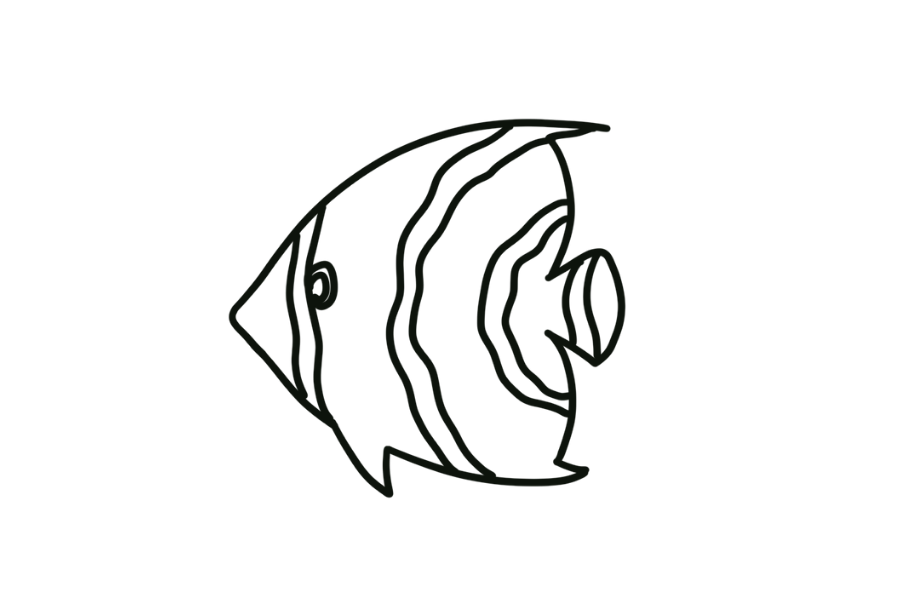 Angelfish tracing base (lower opacity)