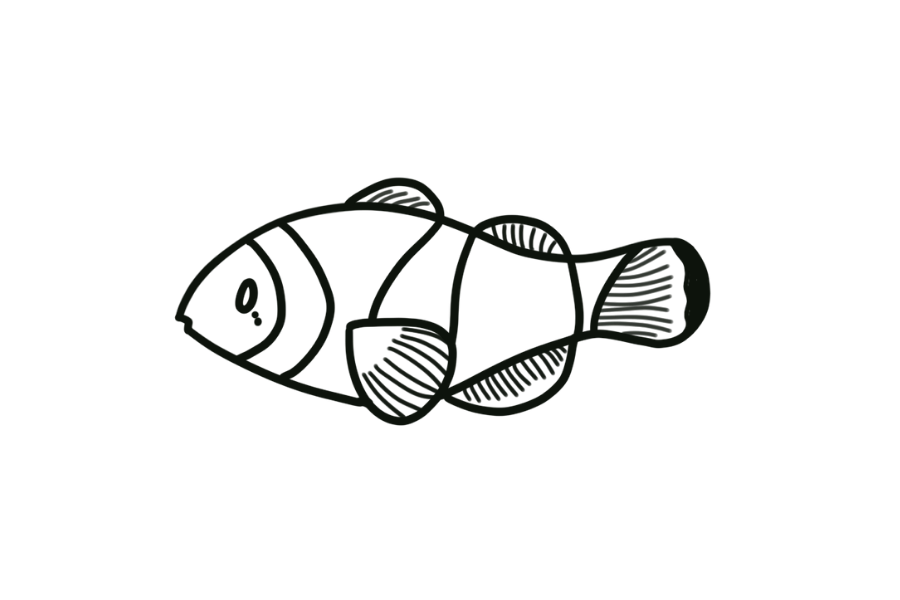 🐠 Easy Cute Clownfish Drawing Template