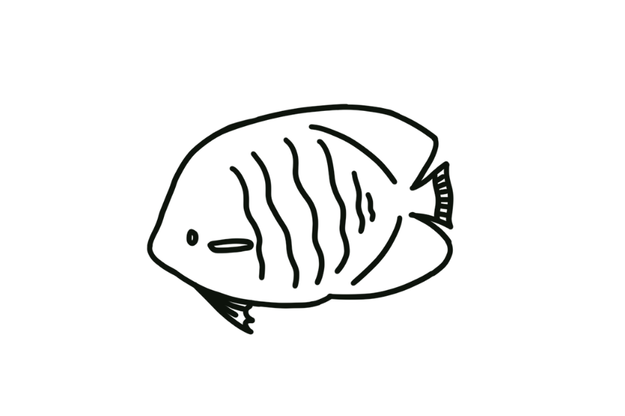 🐟 Easy Cute Damselfish Drawing Template