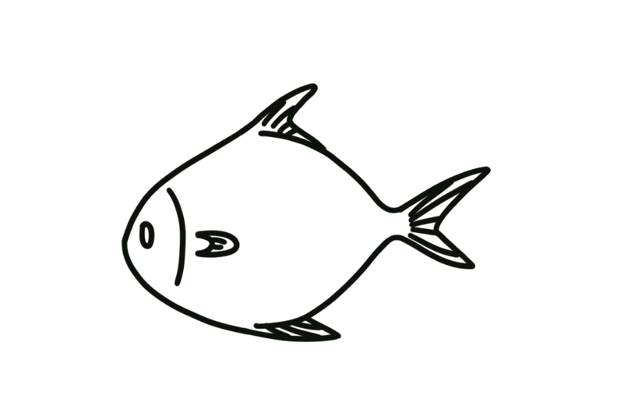 🐟 Easy Cute Pomfret Drawing Template