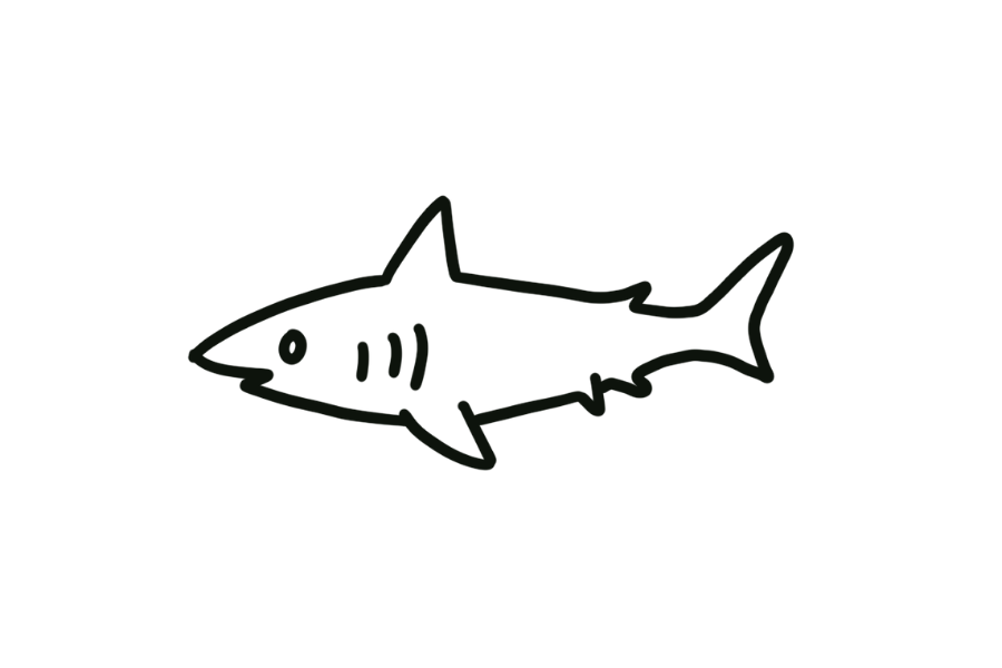 Shark tracing base (lower opacity)