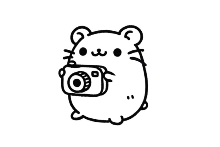 📷 Easy Cute Hamster with Camera Drawing Template
