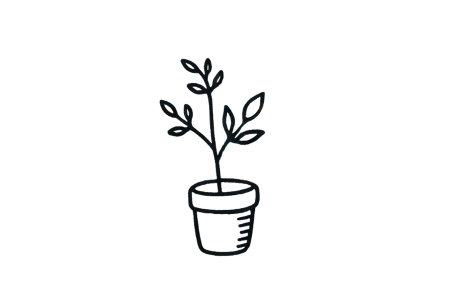 Plant tracing base (lower opacity)