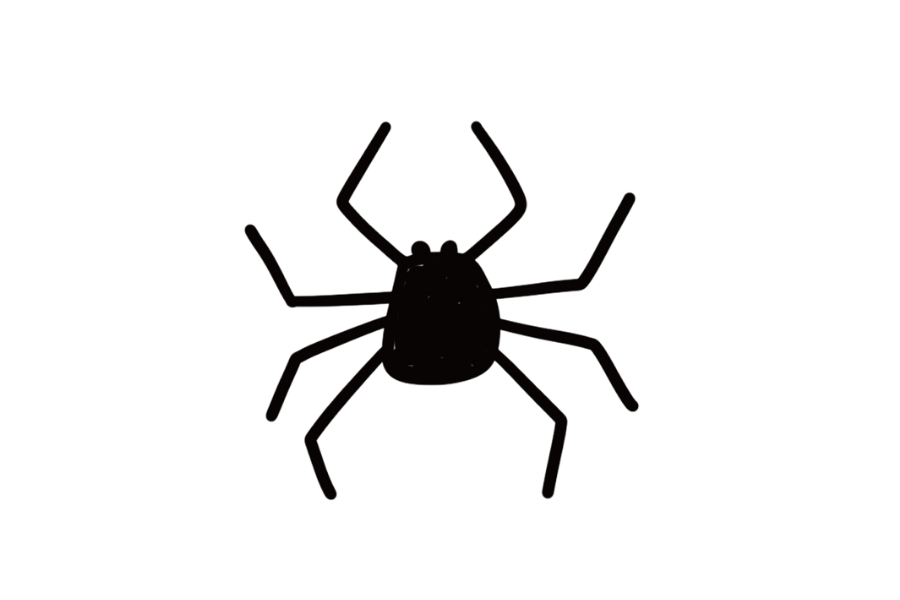Spider tracing base (lower opacity)