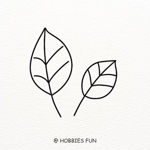 Basic Leaf Drawing