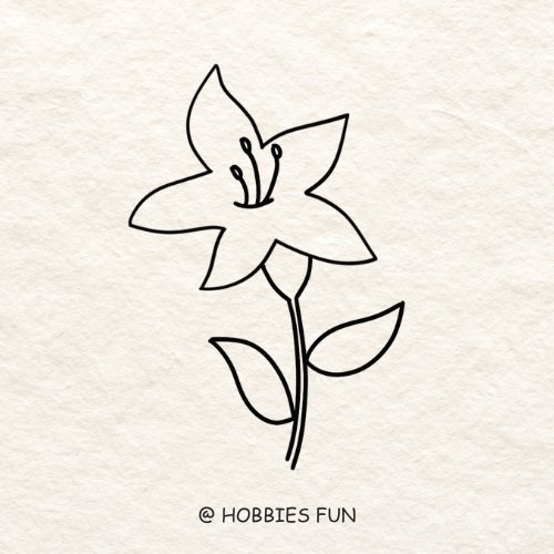Cute Kids Coloring Pages Easy Azalea Flower Drawing Azalea Flower Black And  White Illustration Royal Flower Outline Pansy Flower Vector Art Simple Flower  Drawing Stock Illustration - Download Image Now - iStock