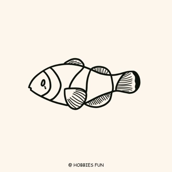 Easy Clownfish Fish Drawing