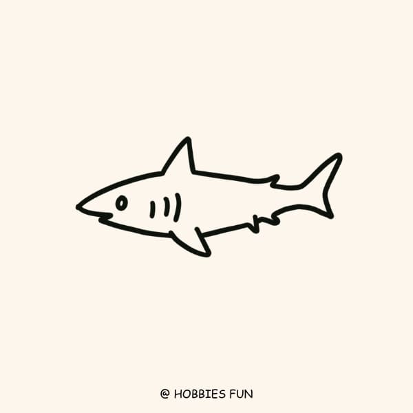 Simple Fish Drawing, Shark