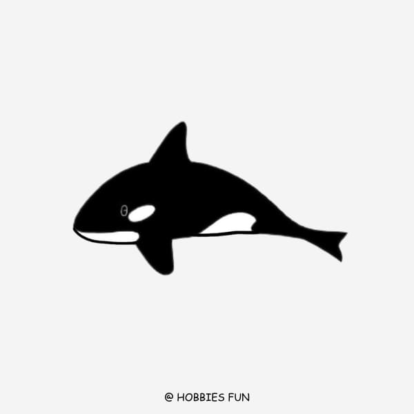 Easy Orca Drawing
