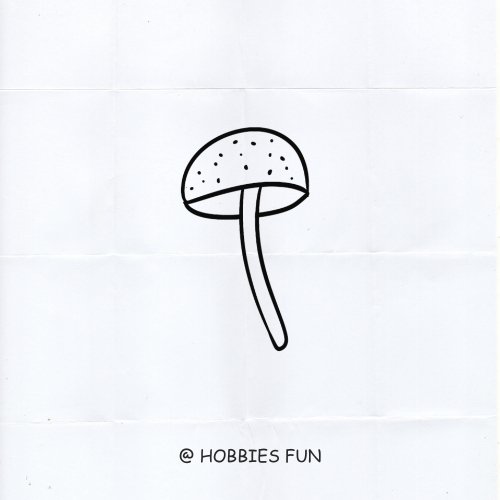 Basic Mushroom Drawing idea