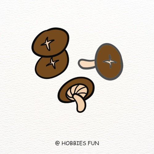 Shiitake Mushroom Drawing