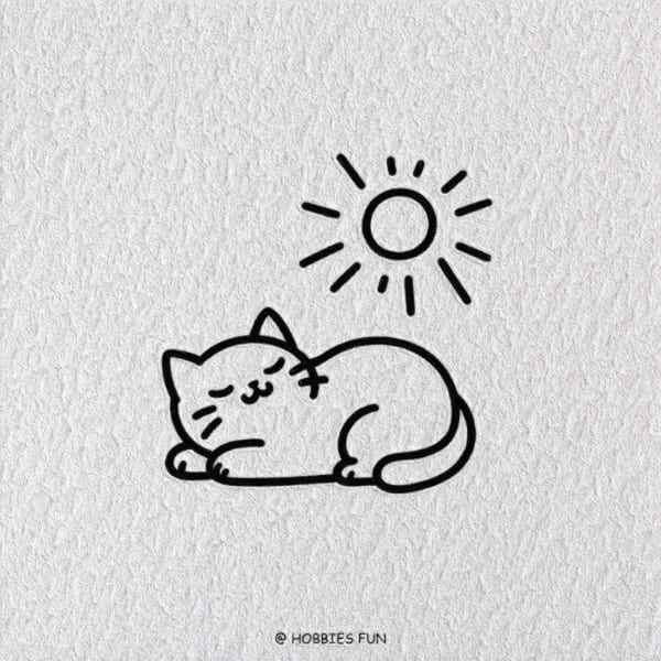 Cute Cat Drawing Idea, Cat in a Sunbeam