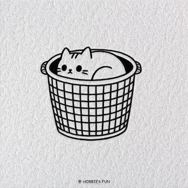 Easy and Cute Cat Drawing, Cat's Laundry Day