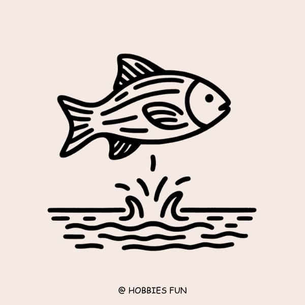easy cute fish drawing, Fish Jumping Out of Water