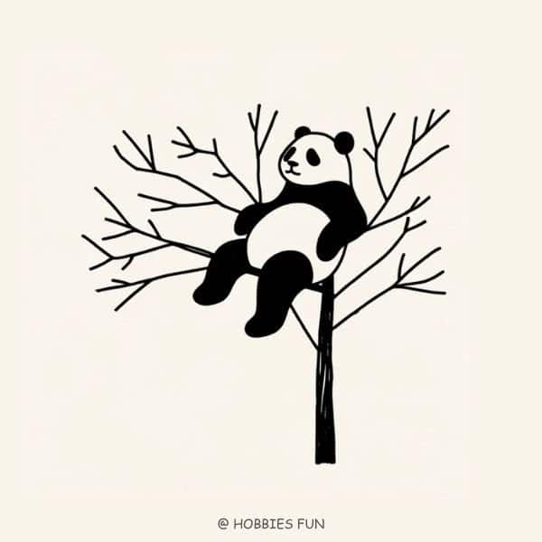Panda in a Treetop Drawing Easy
