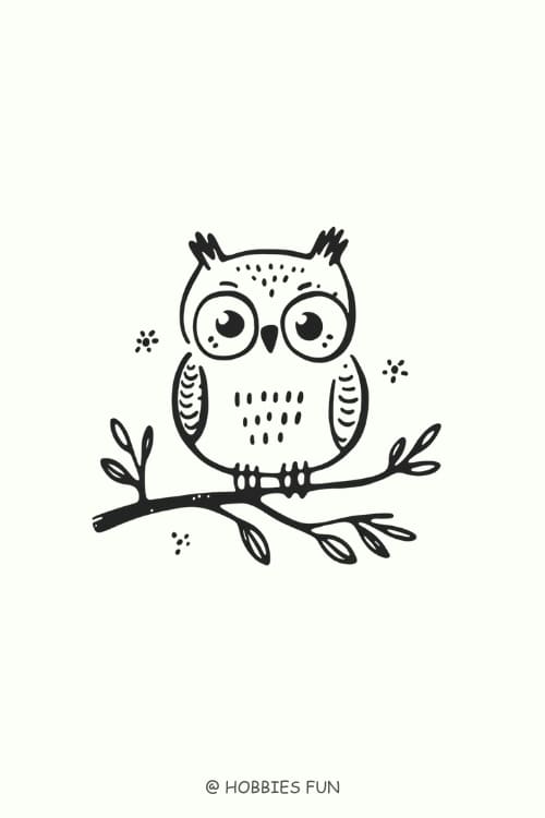 aesthetic drawing prompts, Owl Perched on Branch