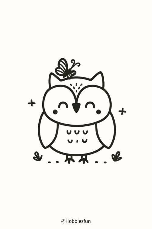Easy Owl Drawing, Owl With A Butterfly