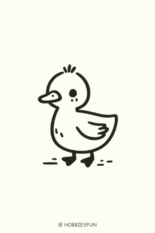 Fun Drawing Idea, Duck