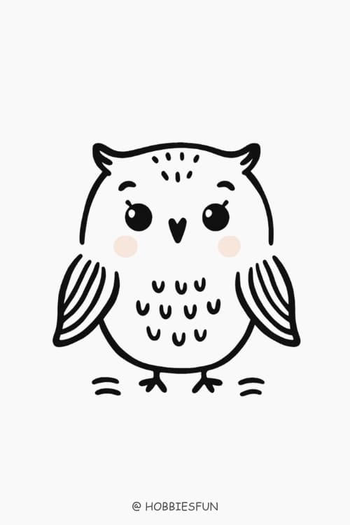 Cute Easy To Draw Animals, Owl