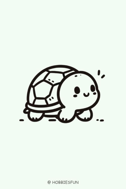 Easy Animals To Draw, Turtle